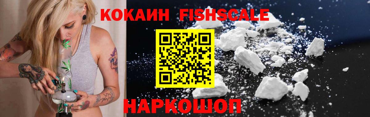 COCAIN Fish Scale  COCAIN 97%  купить  цена  Вход с VPN  Электрогорск 