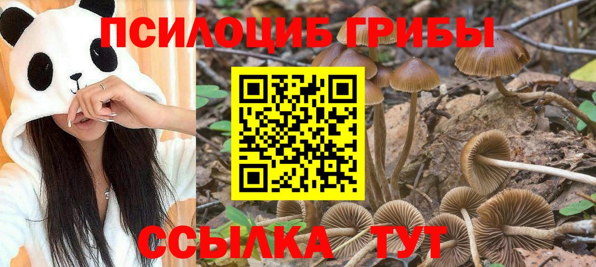 Псилоцибиновые грибы прущие грибы Электрогорск