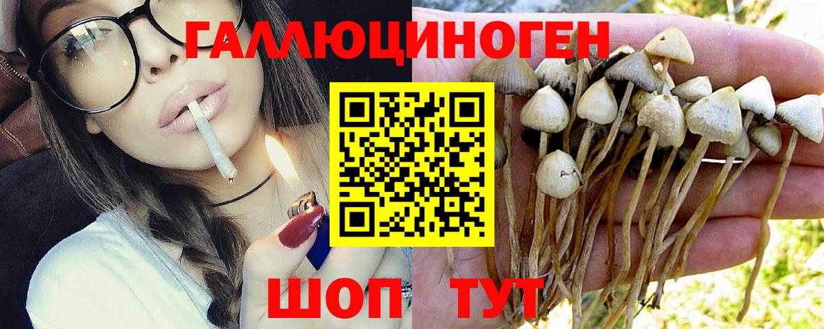 Каннабис  Вход с VPN  Электрогорск  Экстази  ГАШ  Меф кристаллы 