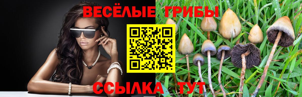 что такое   Галлюциногенные грибы ЛСД  Электрогорск  Вход с VPN  Псилоцибиновые грибы GOLDEN TEACHER 